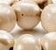 Cowrie Shell